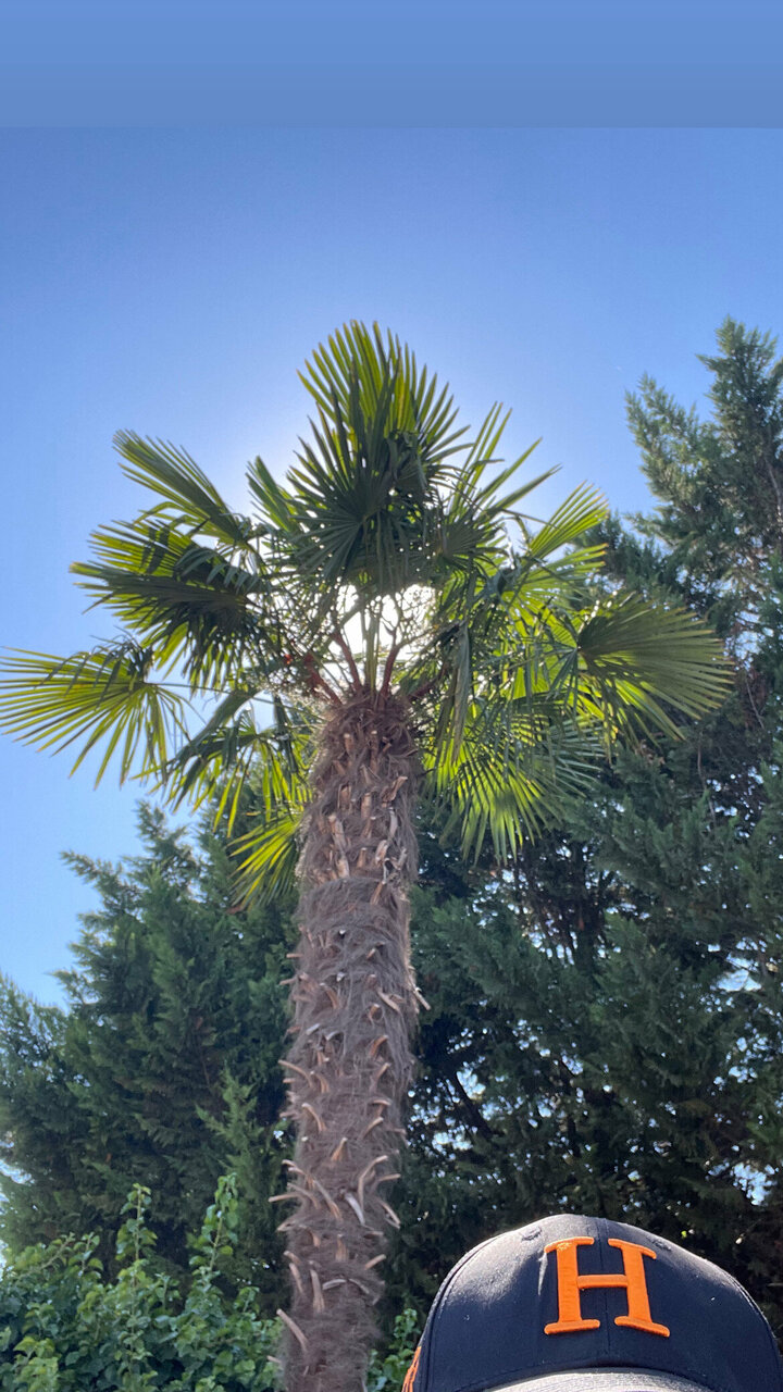 Гостиница Ривьера Севастополь-161