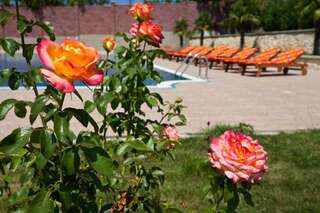 Гостиница Ривьера Севастополь-3