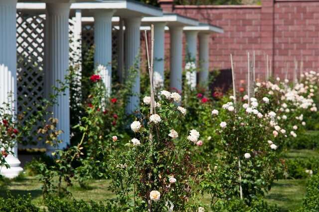 Гостиница Ривьера Севастополь-81