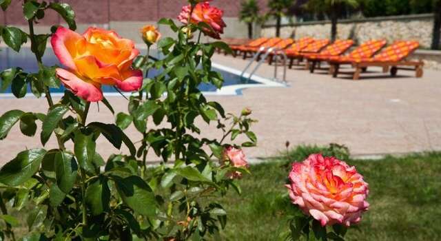 Гостиница Ривьера Севастополь-105